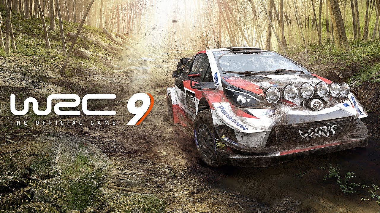 Esports Rally Derechtestebo - eSports-Rally-Fahrer von der Mosel bei der EXW ...